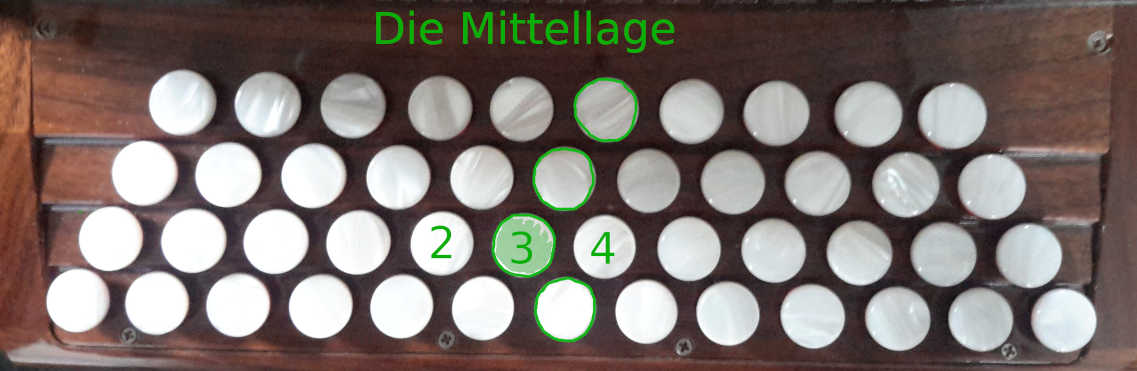 die Mittellage-auf der Steirischen harmonika